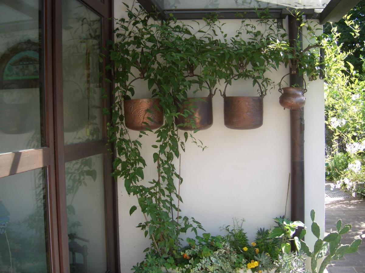 B&B Scaccia Pensieri Tarcento Экстерьер фото